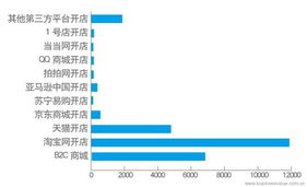中国企业电子商务IT建设报告 电子商务技术发展与应用