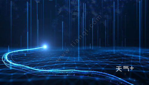 电子商务的专业类别与行业归属探究